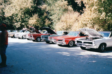 Enlarge photo 443