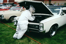 Enlarge photo 455