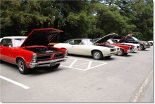 Enlarge photo 36