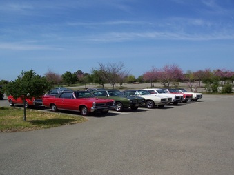 Enlarge photo 7