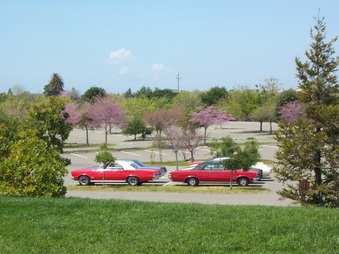 Enlarge photo 19