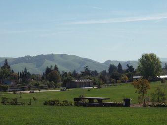 Enlarge photo 43