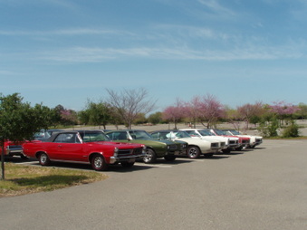 Enlarge photo 35