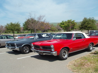 Enlarge photo 46