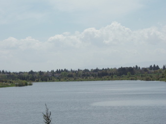Enlarge photo 26