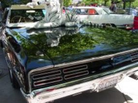Enlarge photo 4