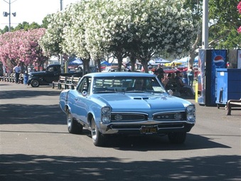 Enlarge photo 49
