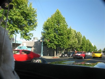 Enlarge photo 72