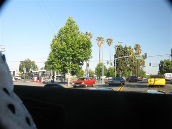 Enlarge photo 76