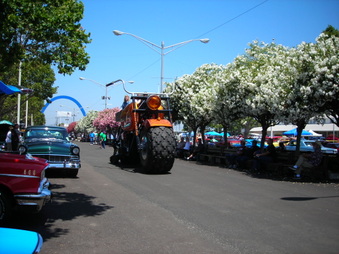 Enlarge photo 34
