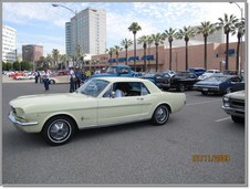 Enlarge photo 135