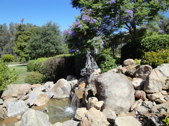 Enlarge photo 53