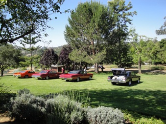Enlarge photo 14