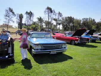 Enlarge photo 84