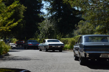 Enlarge photo 33