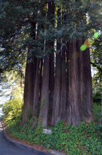 Enlarge photo 42