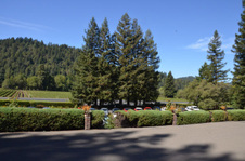 Enlarge photo 43