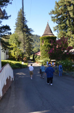 Enlarge photo 73