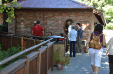Enlarge photo 74