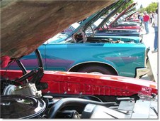 Enlarge photo 55