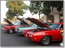 Livermore Altamont Cruisers