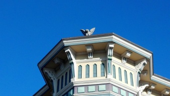 Enlarge photo 4