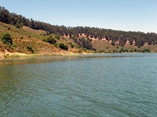 Enlarge photo 64