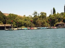 Enlarge photo 66