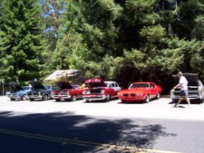Enlarge photo 15