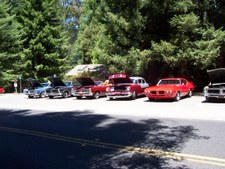 Enlarge photo 16