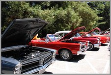 Enlarge photo 38