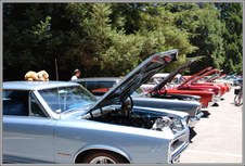 Enlarge photo 61