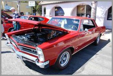 Enlarge photo 51