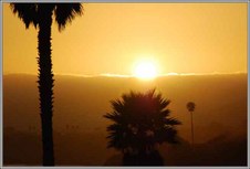 Enlarge photo 54
