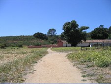 Enlarge photo 265