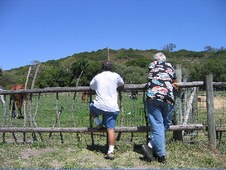 Enlarge photo 266