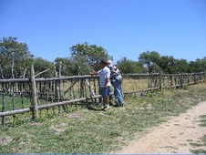 Enlarge photo 267