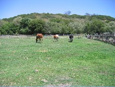 Enlarge photo 268