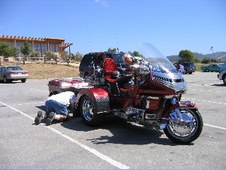 Enlarge photo 272