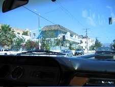 Enlarge photo 275