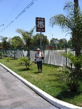 Enlarge photo 292