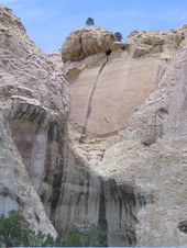 Enlarge photo 341