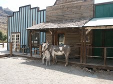 Enlarge photo 36