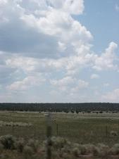 Enlarge photo 70
