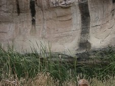 Enlarge photo 73