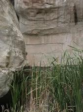 Enlarge photo 74