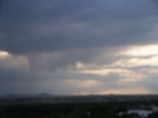 Enlarge photo 83