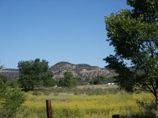 Enlarge photo 165
