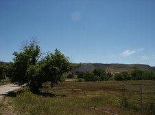 Enlarge photo 176