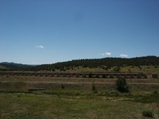 Enlarge photo 177